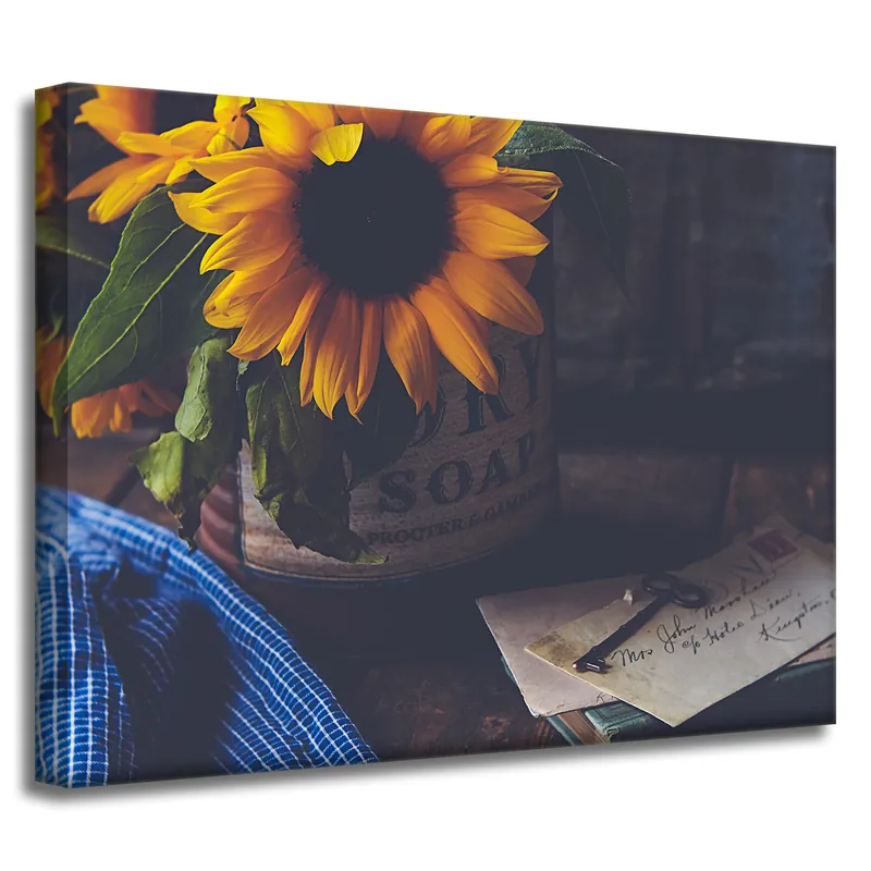 Tablou pe pânză Flori de floarea-soarelui botanice vintage 40x30 cm Promoție