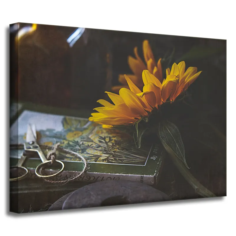 Tablou pe pânză Carte de botanică Floarea-soarelui 40x30 cm Promoție