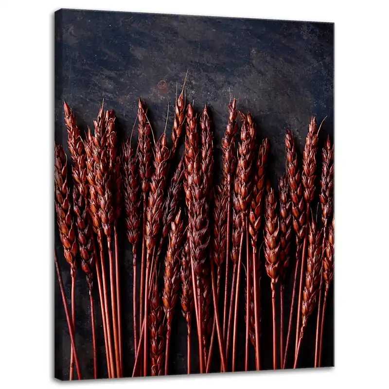 Tablou pe pânză Spice de grâu închis la culoare Botany 30x40 cm Ofertă exclusivă