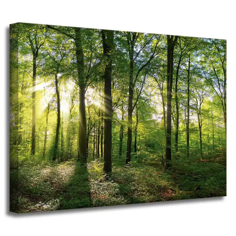 Preț promoțional Tablou pe pânză Copaci de pădure solară Raze de lumină 40x30 cm