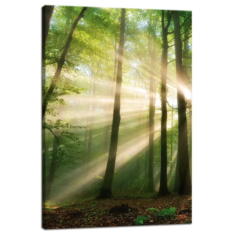 Tablou pe pânză Soare în pădure Copaci Natură 40x60 cm Cel mai bun preț