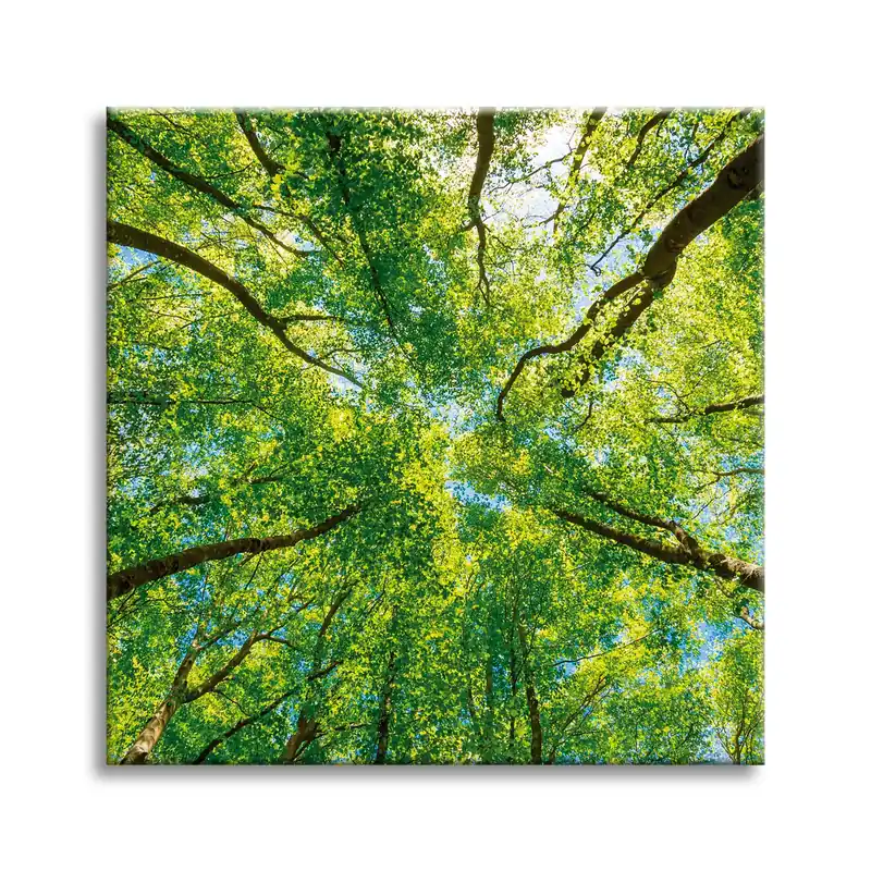 Tablou pe pânză Copaci Frunze Natură Pădure Primăvară 50X50 cm Preferatul clienților
