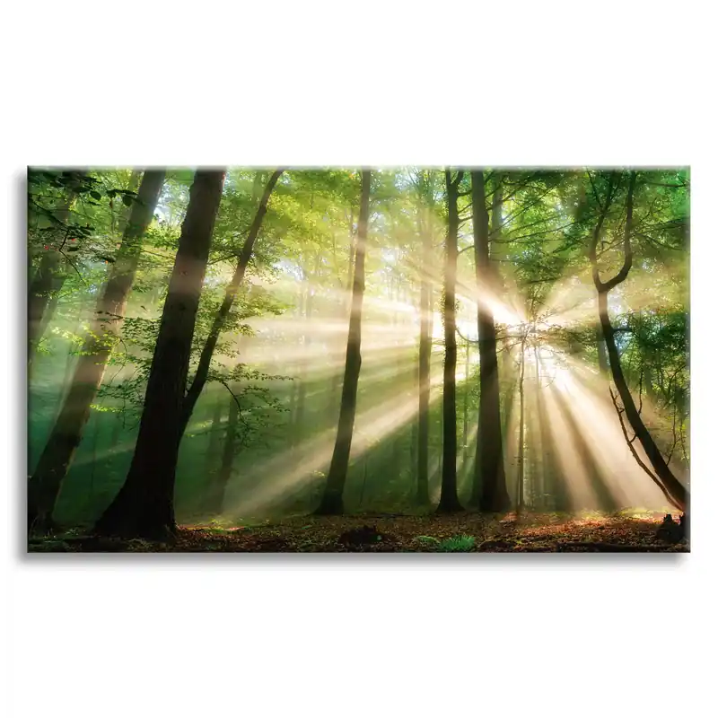 Tablou pe pânză Soare în pădure Copaci Natură 70x50 cm Reduceri