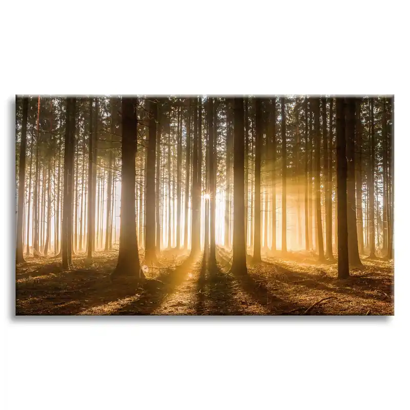 Tablou pe pânză Lumină de copac Soare în pădure 70x50 cm Super ofertă