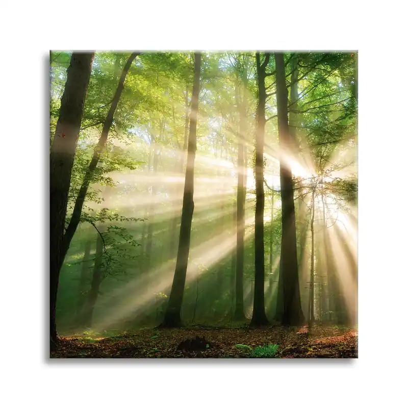 Mai ieftin Tablou pe pânză Soare în pădure Copaci Natură 60X60 cm