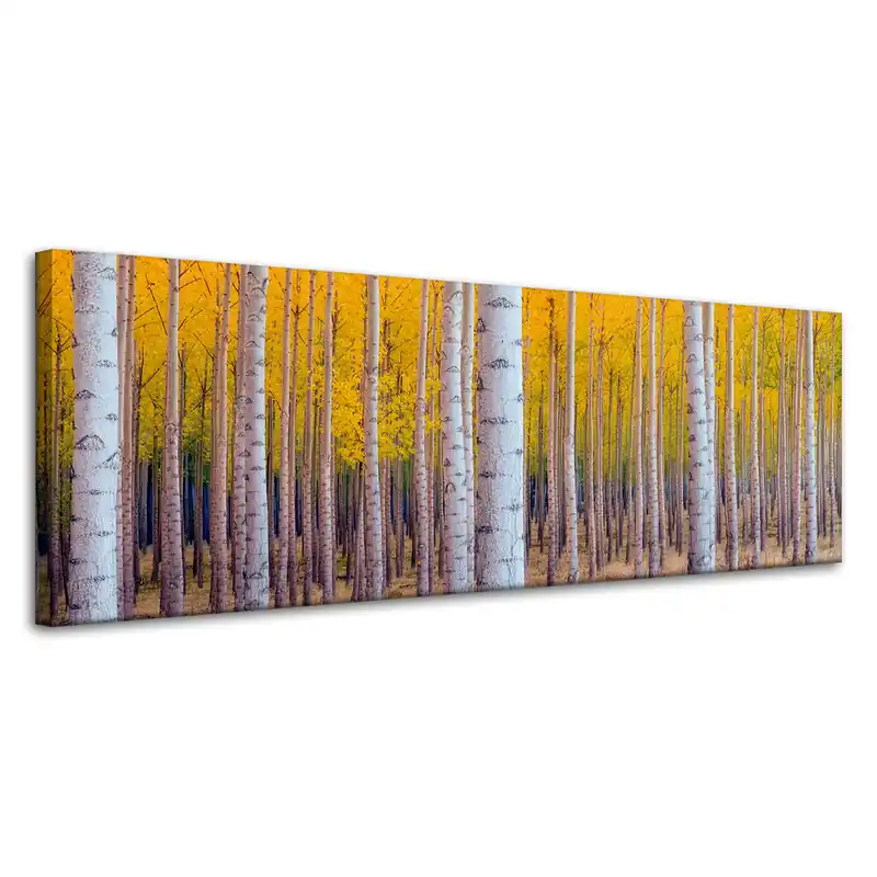 Cumpărături sigure Tablou pe pânză Mesteacăn în frunze galbene de toamnă 120x40 cm