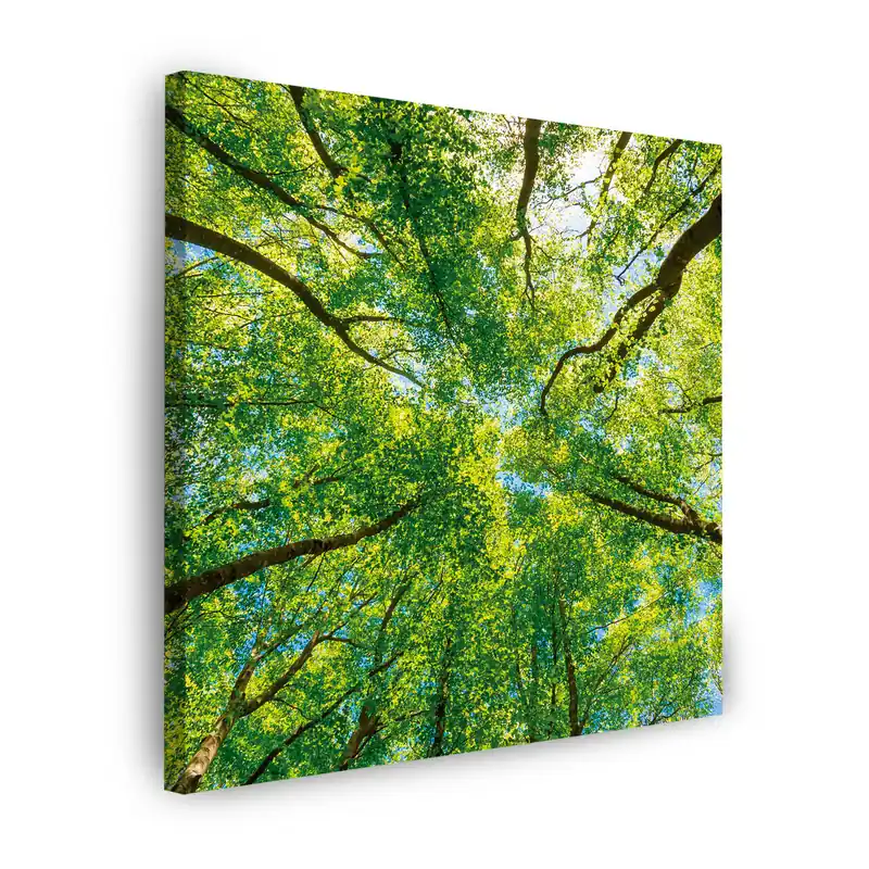 Tablou pe pânză Copaci Frunze Natură Pădure Primăvară 90X90 cm Ultima șansă
