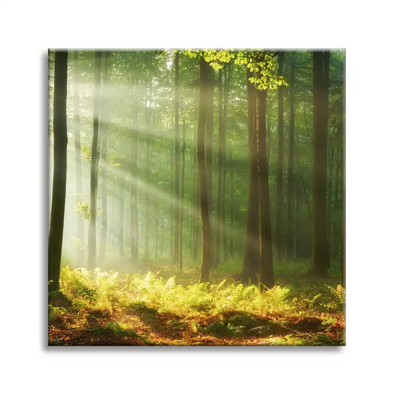 Plată securizată Tablou pe pânză Lumină în pădure Natură Copaci 90X90 cm
