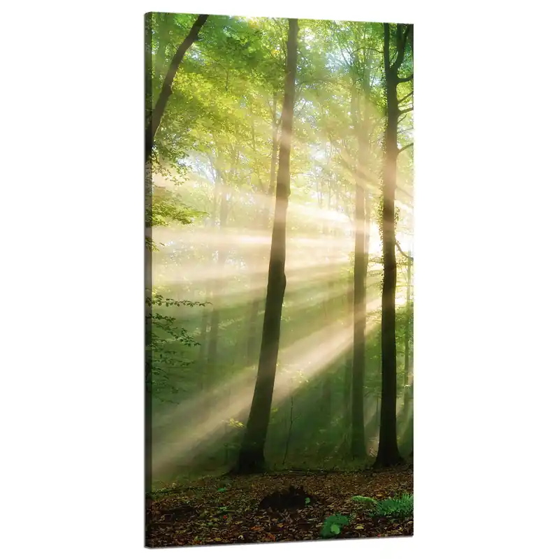 Tablou pe pânză Soare în pădure Copaci Natură 60x120 cm Cumpără acum