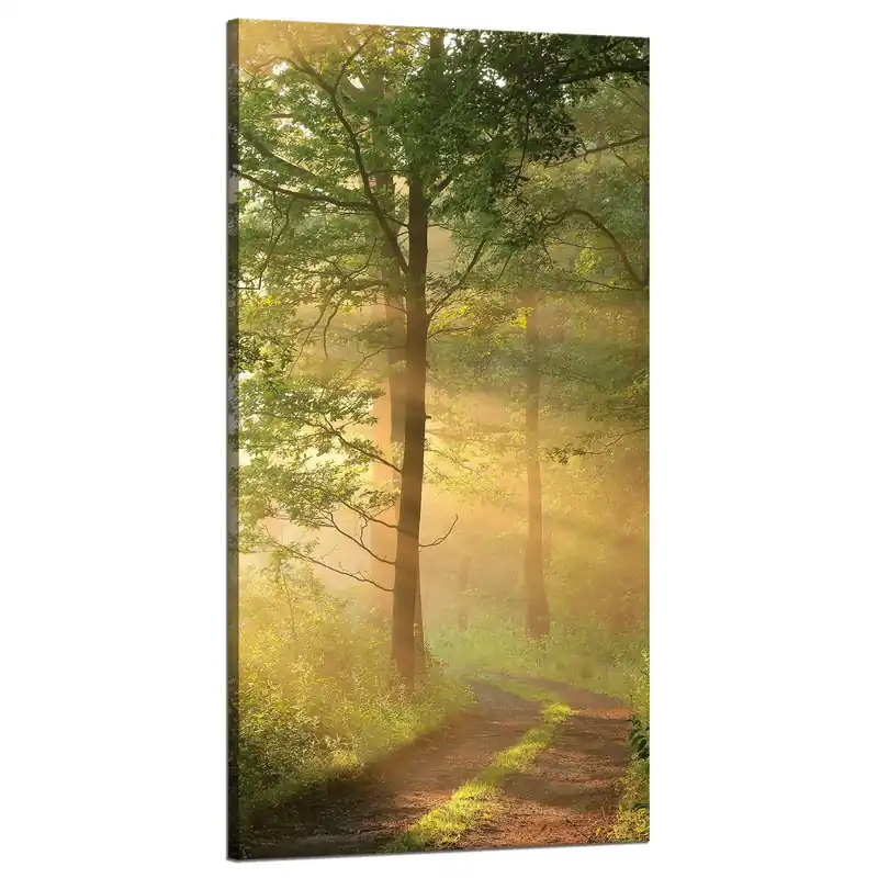 Tablou pe pânză Cale de pădure cu lumină solară Natură 60x120 cm Preferatul clienților