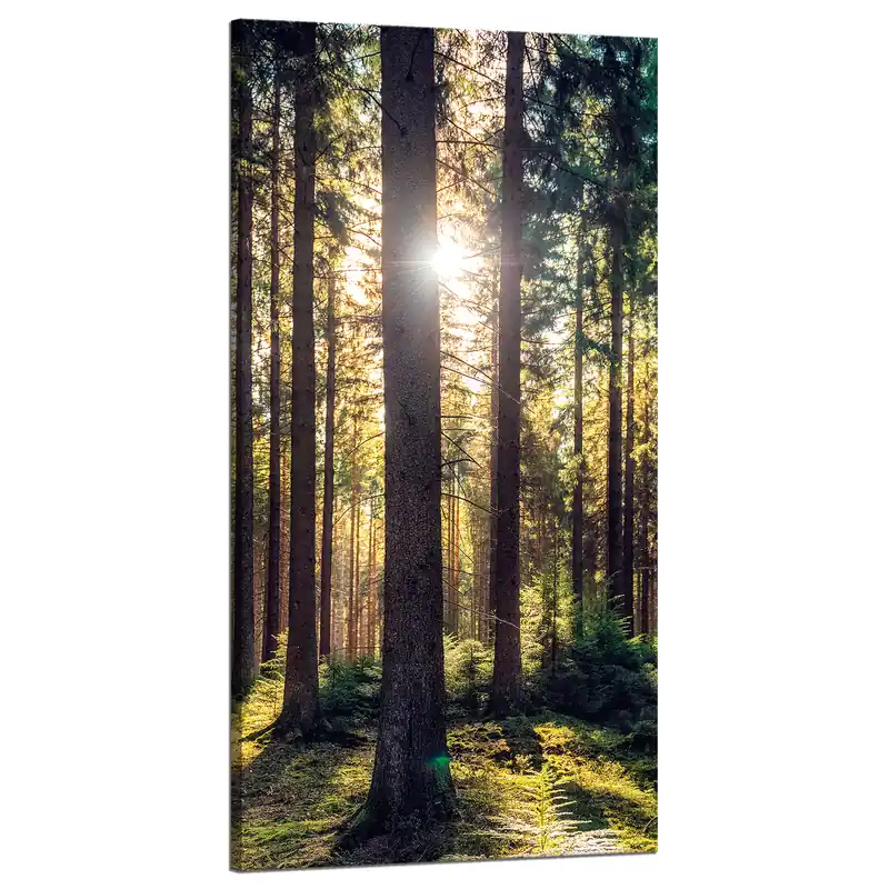 Tablou pe pânză Pădure Soare Copaci Dimineață de Primăvară 60x120 cm Promoție