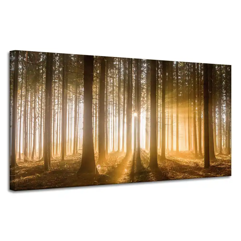 Plată securizată Tablou pe pânză Soare în pădure, lumină de copac, 120x60 cm