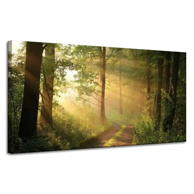 Tablou pe pânză Cale de pădure cu lumină solară Natură 120x60 cm Super ofertă