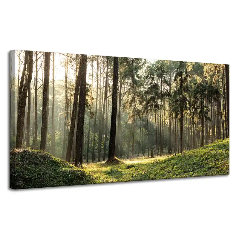 Tablou pe pânză Copaci de pădure Soare Natură 120x60 cm Preț promoțional