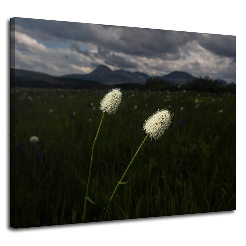 Cel mai vândut Tablou pe pânză Flori sălbatice naturale 100x80 cm