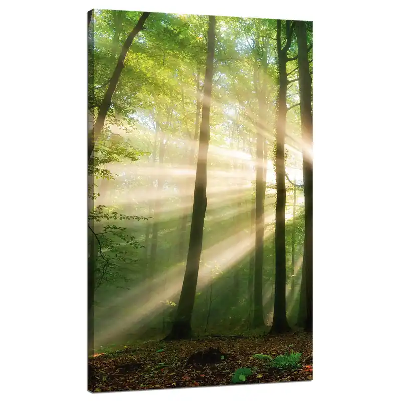Tablou pe pânză Soare în pădure Copaci Natură 70x120 cm Promoție