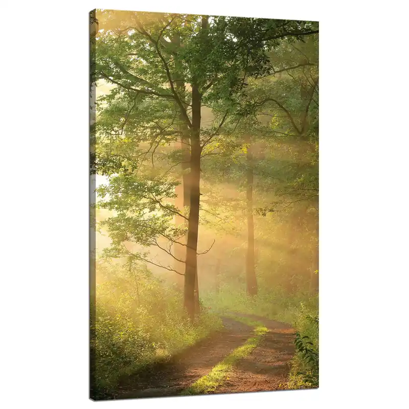 Preț redus Tablou pe pânză Cale de pădure cu lumină solară Natură 70x120 cm