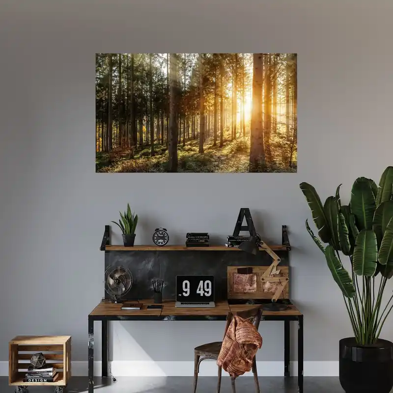 Ofertă exclusivă Tablou pe pânză Mesteceni Soare Dimineață 120x70 cm