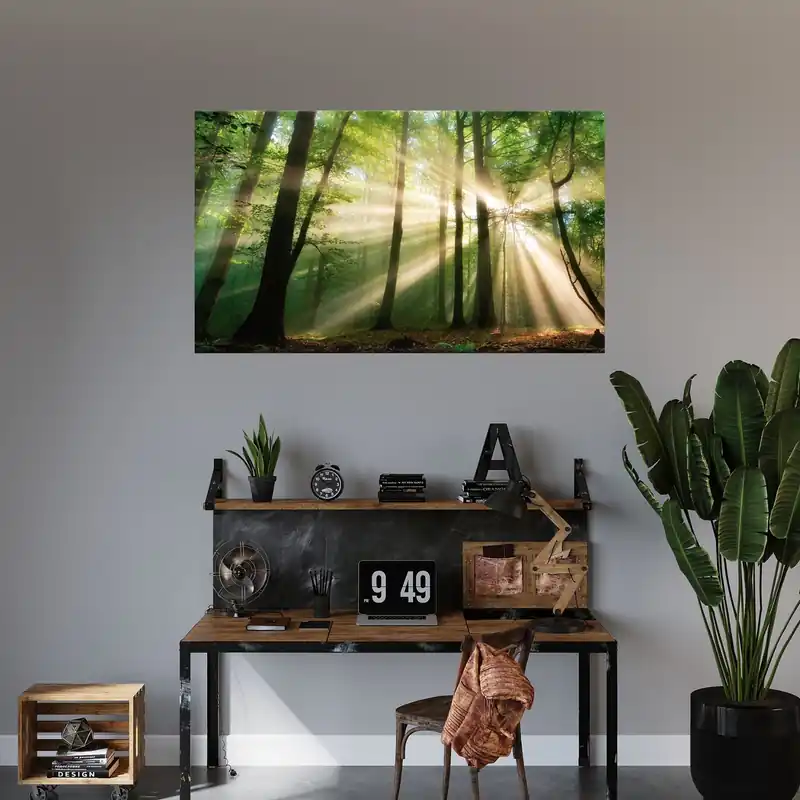 Tablou pe pânză Soare în pădure Copaci Natură 120x70 cm Chilipir