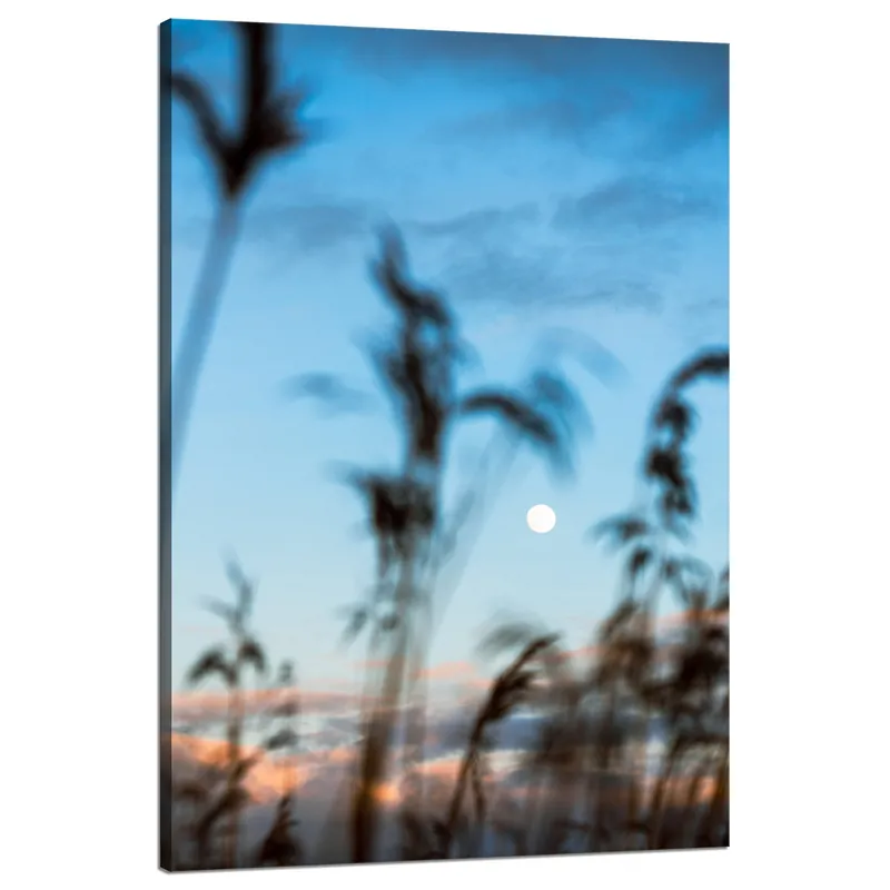 Premium Tablou pe pânză Poiana Naturii Răsărit de Soare 80x120