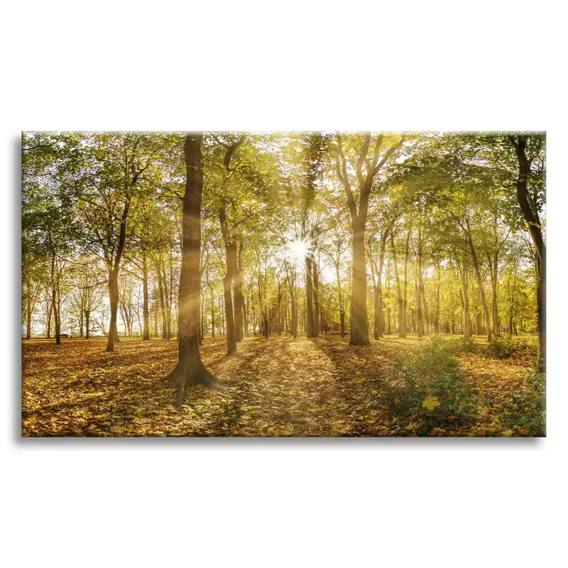 Tablou pe pânză Soare printre copaci în pădure 120x80 cm Livrare expres