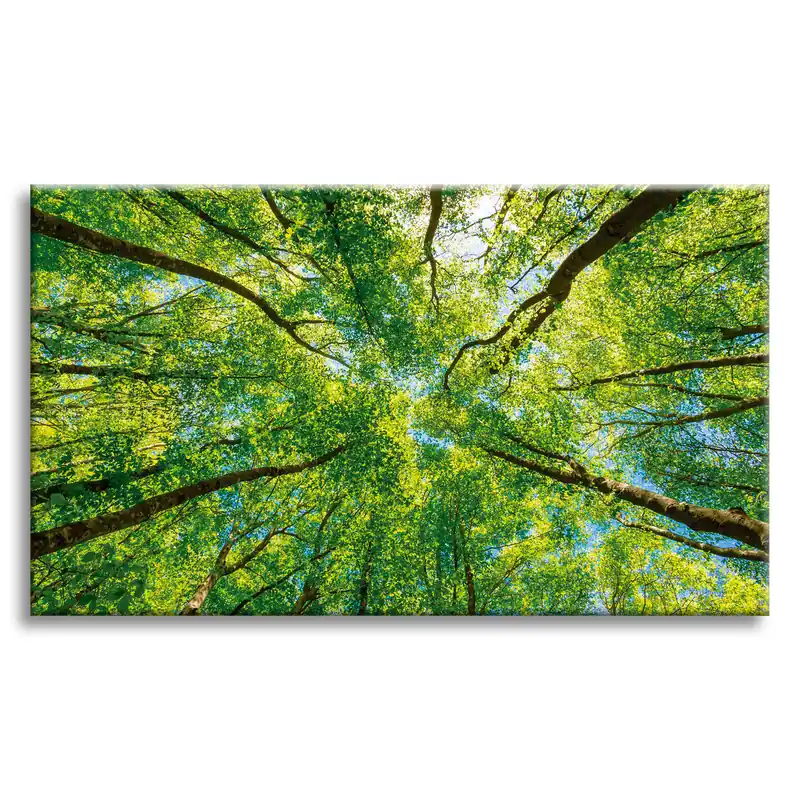 Tablou pe pânză Copaci Frunze Natură Pădure Primăvară 120x80 cm Preferatul clienților