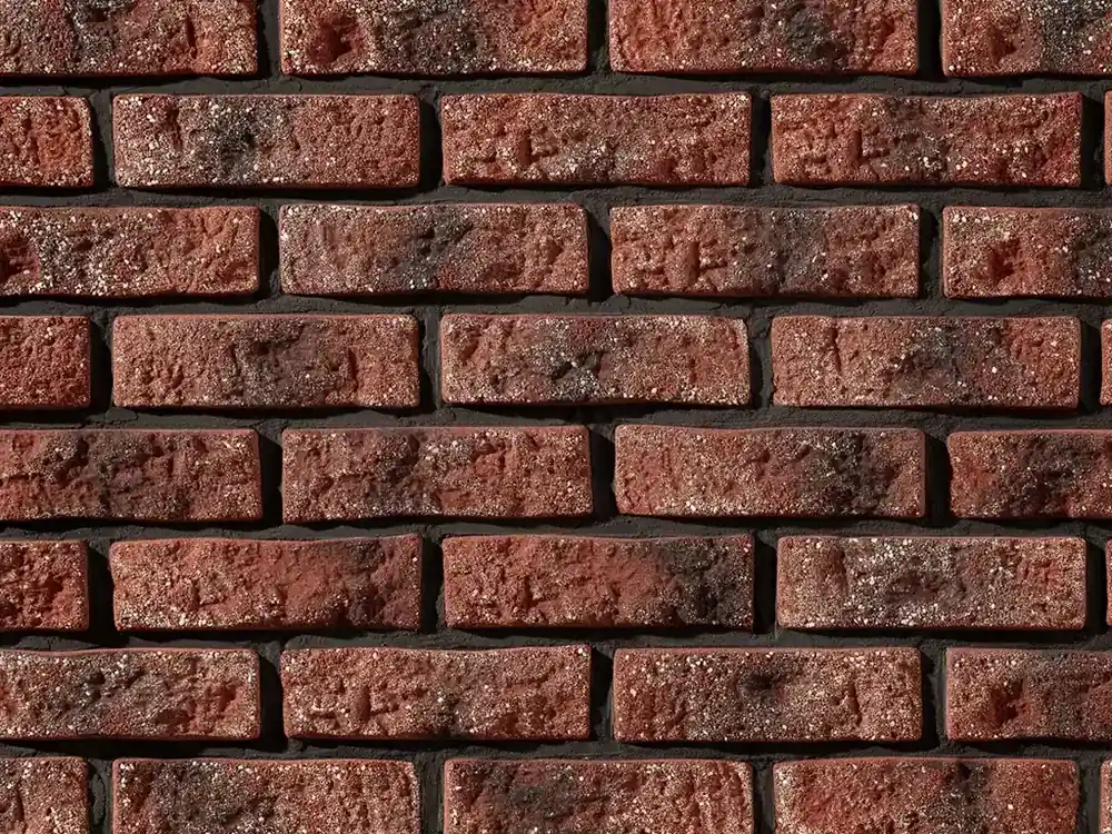 Caramida aparenta roscata Rustik 540 STEGU Plată sigură